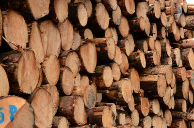 Full frame shot of firewood