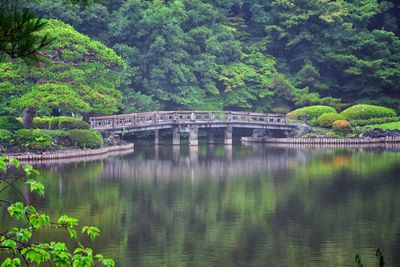 Bridge over river against trees