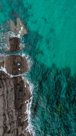 Aerial view of sea and rocks