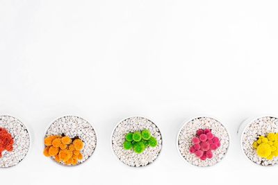 High angle view of multi colored flowers against white background