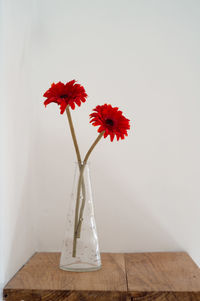 Close-up of red flowers in vase on table