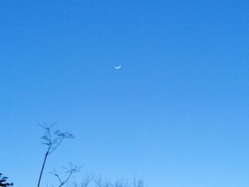 Low angle view of moon in blue sky