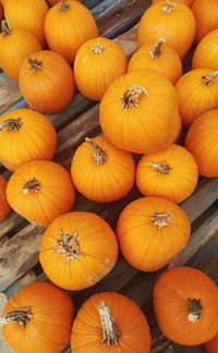 High angle view of pumpkins for sale at market stall