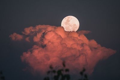 Low angle view of moon against sky at night