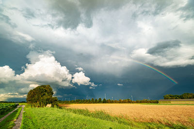 Scenic view of agricultural field against sky