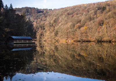 Scenic view of lake in forest against sky