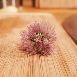 Close-up of pink flower on table