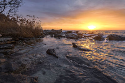 Scenic view of sea during sunset