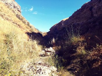 Scenic view of landscape against clear blue sky