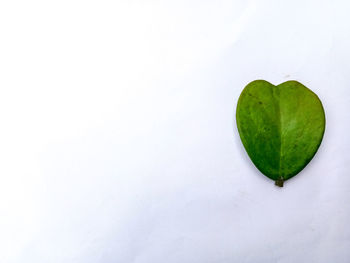 High angle view of heart shape over white background