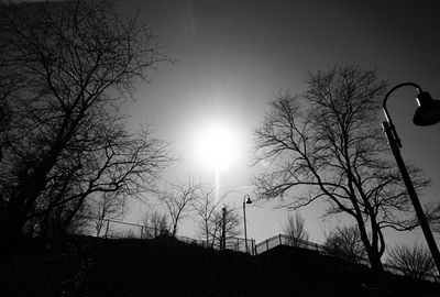 Low angle view of silhouette tree against sky