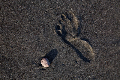 Footprints on sandy beach