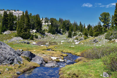 Seneca lake in the wind river range, rocky mountains, wyoming