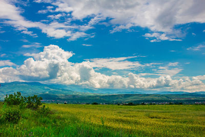 Scenic view of field against sky