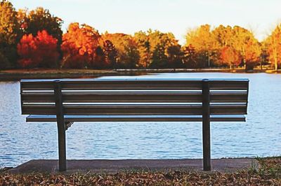 Scenic view of autumn trees