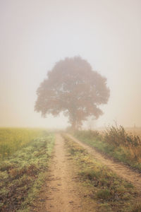 Dirt road amidst field against sky during foggy weather