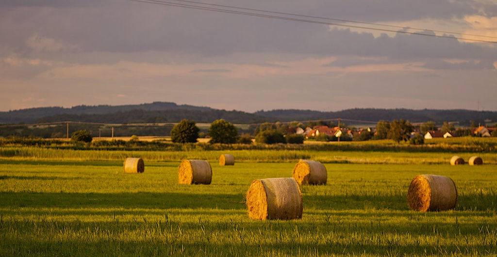 HAY BALES IN FIELD AGAINST SKY