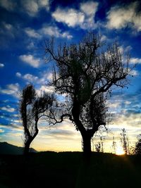 Low angle view of silhouette tree against sky