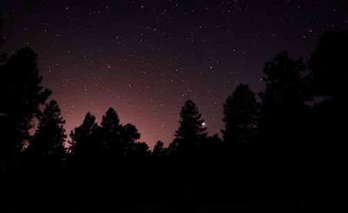 Low angle view of star field against star field