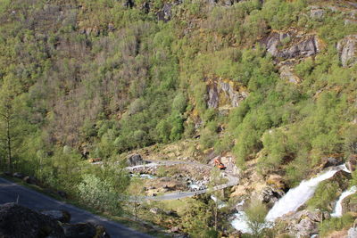 High angle view of trees growing on land