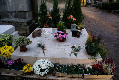 High angle view of potted plants at cemetery