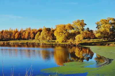 Scenic view of lake against sky during autumn