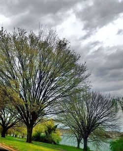 Scenic view of landscape against cloudy sky