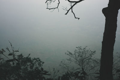 Silhouette trees against sky at dusk