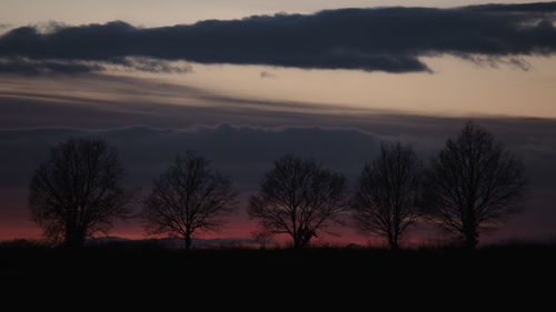 Silhouette trees against sky during sunset