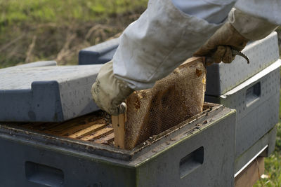 Cropped image of man working