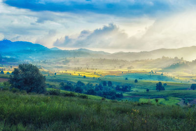 Scenic view of landscape against sky