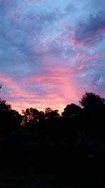 Silhouette trees against sky during sunset