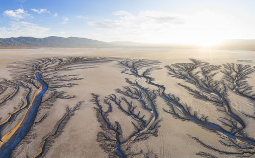 Erosion cuts fratcal tree looking patterns into a dry lake bed i