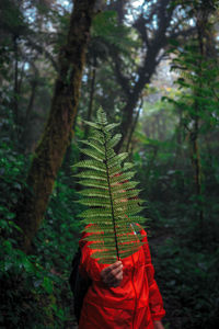 Woman holding fern while standing in forest