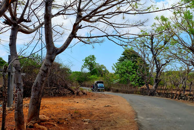 Road amidst trees against sky