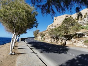 Road by trees against blue sky