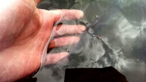 Close-up of water