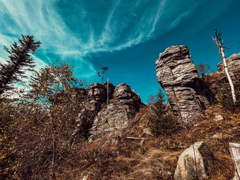 nature