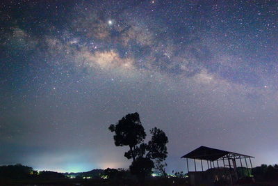 Low angle view of trees against sky at night