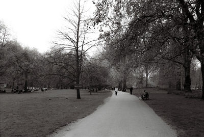 Footpath amidst trees in park