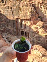 A hand holds a mint tea with a breathtaking view of the petra treasury at sunrise.