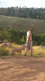 Full length of a dog on landscape