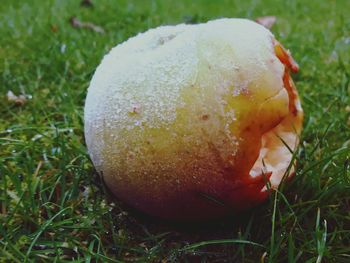 Close-up of apple on grass