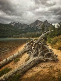 Scenic view of landscape and mountains against sky