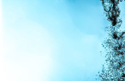 Low angle view of trees against blue sky