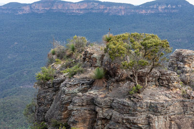 Scenic view of rocky mountains