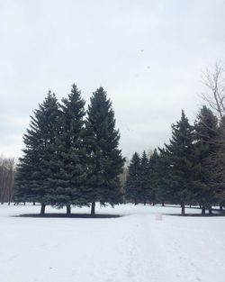 Scenic view of snow covered landscape