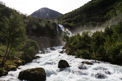 Scenic view of waterfall in forest