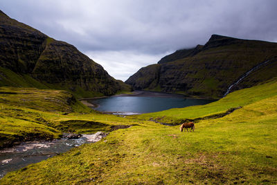 Scenic view of landscape and mountains against sky