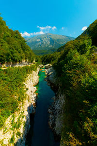 Scenic view of river amidst trees against sky